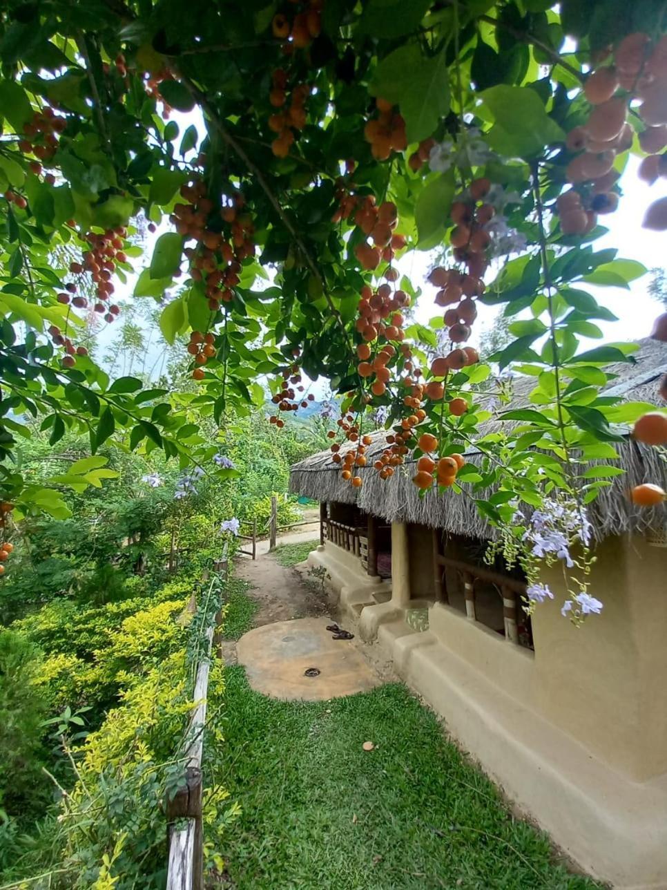 Nature Tones By Brdge Hospitality Maraiyur Экстерьер фото