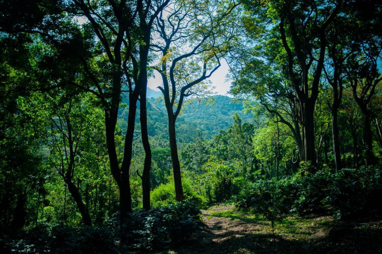 Nature Tones By Brdge Hospitality Maraiyur Экстерьер фото