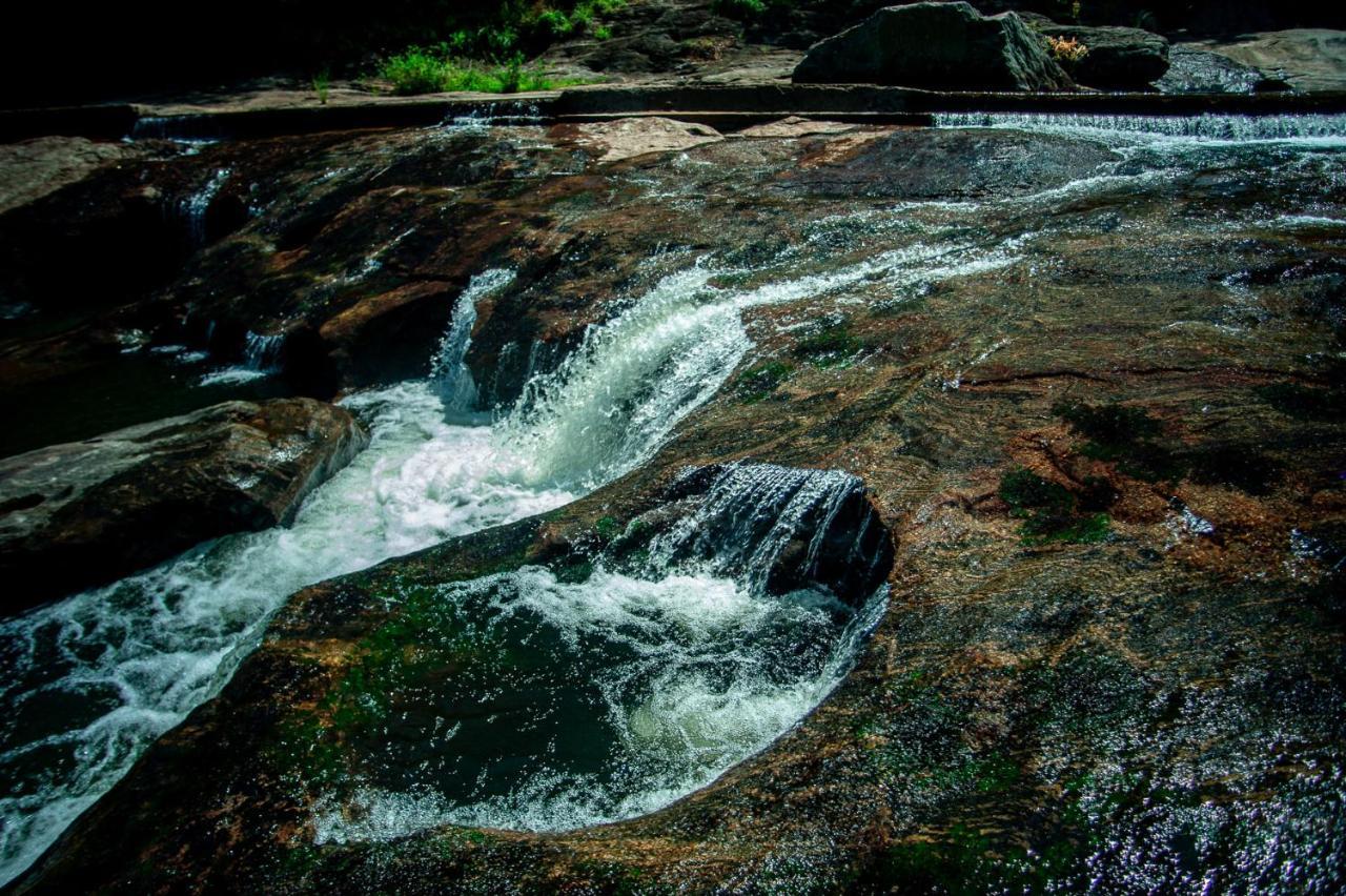 Nature Tones By Brdge Hospitality Maraiyur Экстерьер фото